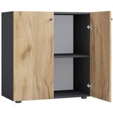 MID.YOU Pisarniški Regal Lona L, Antracit, Barva Hrasta | Shoptok.si