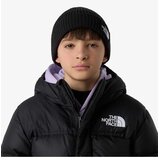 The North Face Kids tnf logo box cuffed beanie Cene