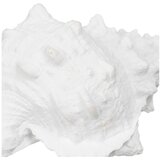 Ixia Kipec iz poliresina (višina 12 cm) Seashell – | Shoptok.si