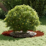  Pogodno za ravne drvene prstenove 5 pcs Smeđa Ø50 / 80 cm | shoptok.hr