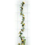 BELLISSA Opora za rastline (150 x 45 cm, bela) Cene