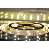 Mitea Lighting MLR-5050-30-ML 3000K (toplo bela) led traka 5m 12V 6,5W 30 LED/1m IP20 | ePonuda.com