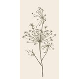 IB Laursen Papirnate serviete "Kobulasto socvetje" - 16 k. Cene
