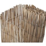  Vrtna ograda 500x80 cm od trske | Shoptok.si