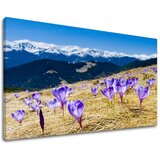  Slike na platnu cveće (moderne slike na platnu) | ePonuda.com