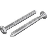 vidaXL Pohištveni vijaki 2 pcs srebrna M6 x 60 mm Jeklo, (5000163899) | Shoptok.si
