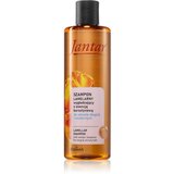 Farmona Jantar Amber Essence šampon za dolge lase 300 ml Cene