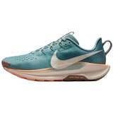 Nike Tek & Trail Chaussures de running pegasus trail 5 textile respirant Cene