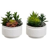 Casa Selección Umjetne biljke u setu 2 kom (visina 19 cm) Cactus – Cijene