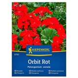 KIEPENKERL Cvetlična semena Pelargonija Orbit (Pelargonium zonale, Rdeča) | Shoptok.si