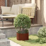  Prsten za saksiju 5 pcs Smeđa 30 x 30 x 20 cm | shoptok.hr