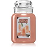 Country Candle Grapefruit & Rosemary dišeča sveča 680 g Cene