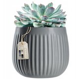 KADAX Keramični cvetlični lonec, cvetlični lonec, okrogel, 14 cm, siv, (5000353540) | Shoptok.si