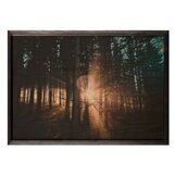 WALLXPERT dekorativna uramljena drvena slika forest xl | ePonuda.com