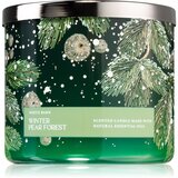 Bath & Body Works Winter Pear Forest mirisna svijeća 411 g Cijene