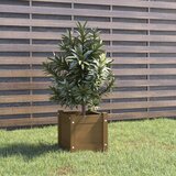  Vrtna sadilica smeđa boja meda 31x31x31 cm od masivne borovine | Eponuda.com