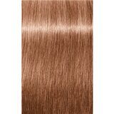 Schwarzkopf IGORA Royal boja za kosu nijansa 9-67 Extra Light Blonde Chocolate Copper 60 ml | shoptok.hr