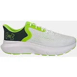 Under Armour Men's shoes Charged Rogue 5