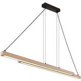 Globo viseča led-svetilka | Shoptok.si