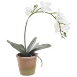  ORHIDEJA 33CM BIJELA | Eponuda.ba