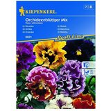 KIEPENKERL Profi-Line Sjeme cvijeća Maćuhica Mix (Viola x wittrockiana, Raznobojna) | shoptok.hr