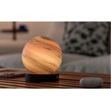 Gingko LED namizna svetilka v temni naravni barvi s steklenim senčilom (višina 13 cm) Polar Cloud – | Shoptok.si