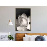  Poster - Delicacy of a Flower 40x60 | shoptok.hr
