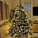  Novogodišnja jelka Sierra 150cm KFB 545 | Eponuda.com