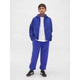 GAP Children's Sweatpants Baggy VintageSoft - Boys | Shoptok.si