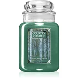 Country Candle White Birch & Rain mirisna svijeća 737 g