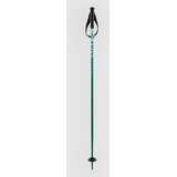 Völkl Phantastick Jr Poles 2025 Smucarske palice green | Shoptok.si