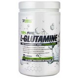 Workout Nutrition 100% l -glutamine 500gr Cene