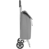 Kolica za kupovinu Siva 35 x 28 x 92 cm Oxford tkanina | Eponuda.com