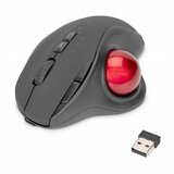 Digitus miška trackball brezžična USB črna DA-20156 | Shoptok.si