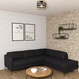  Plafonski luster RIM 1xE27/60W/230V crna/zlatna | Eponuda.com