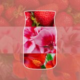 Yankee Candle Cliffside Sunrise mirisna svijeća 368 g | shoptok.hr