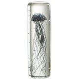 J-Line Uteg za papir Meduse Verre Noir Small | shoptok.hr