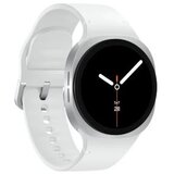 Samsung Galaxy Watch8 (Bluetooth, 40mm) Silver | ePonuda.com