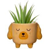 Sass & Belle Kamnit okrasni cvetlični lonec ø 7,5 cm Cockapoo – | Shoptok.si