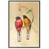  Plakat - Birds on a Branch 60x90 Crni okvir | shoptok.hr