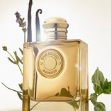 Burberry Goddess Intense parfemska voda intense za žene 150 ml | shoptok.hr