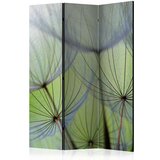  Paravan u 3 dijela - Fleeting moments [Room Dividers] 135x172 Cijene