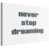  Slika - Never Stop Dreaming (1 Part) Wide 30x20 Standard | shoptok.hr