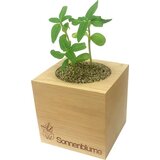 Feel Green ecocube "Rože" - divja vrtnica Cene