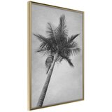  Poster - Memories from the Paradise 40x60 | shoptok.hr