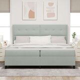 Box Spring Krevet s Madracem Svjetlosiva 200x200 cm Baršun | shoptok.hr