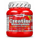  amix creatine monohydrate, 500 g Cene