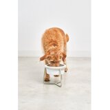 MiaCara Porculanska posuda s postoljem za pse ø 20 cm Pranzo Greige M – | shoptok.hr
