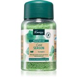 Kneipp cold season eucalyptus kopalna sol za sprostitev ob prehladu 500 g Cene