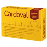 Valentis Cardoval Ritmo kapsule | Eponuda.ba